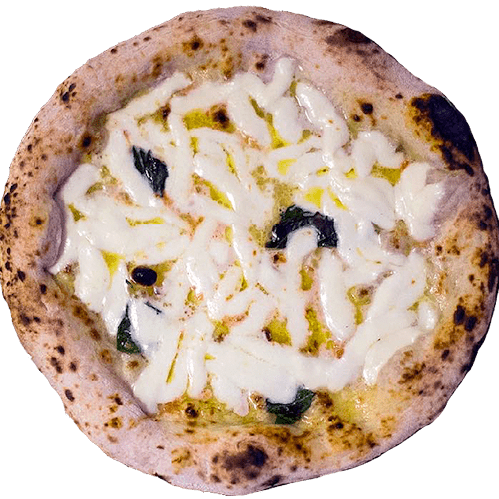 Pizza Biancaneve - HF DISTRIBUTION