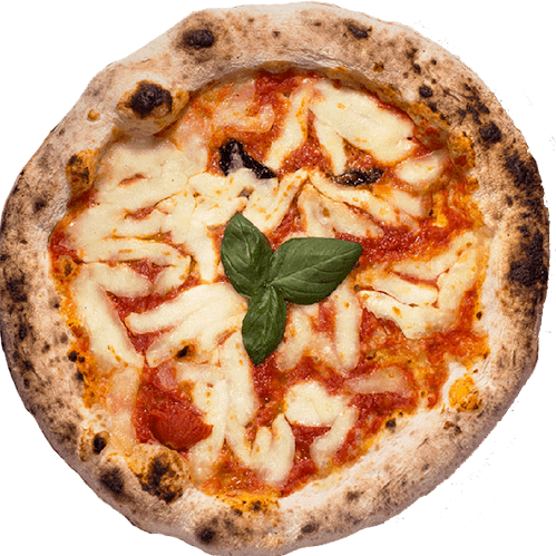 Pizza Margherita - HF DISTRIBUTION